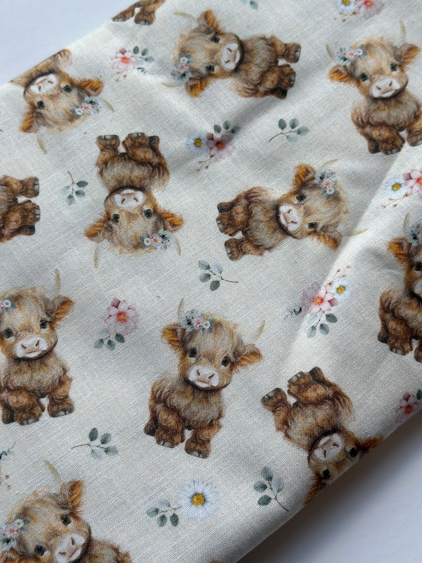Till The Cows Come Home Highland Cow Cream CD4041
