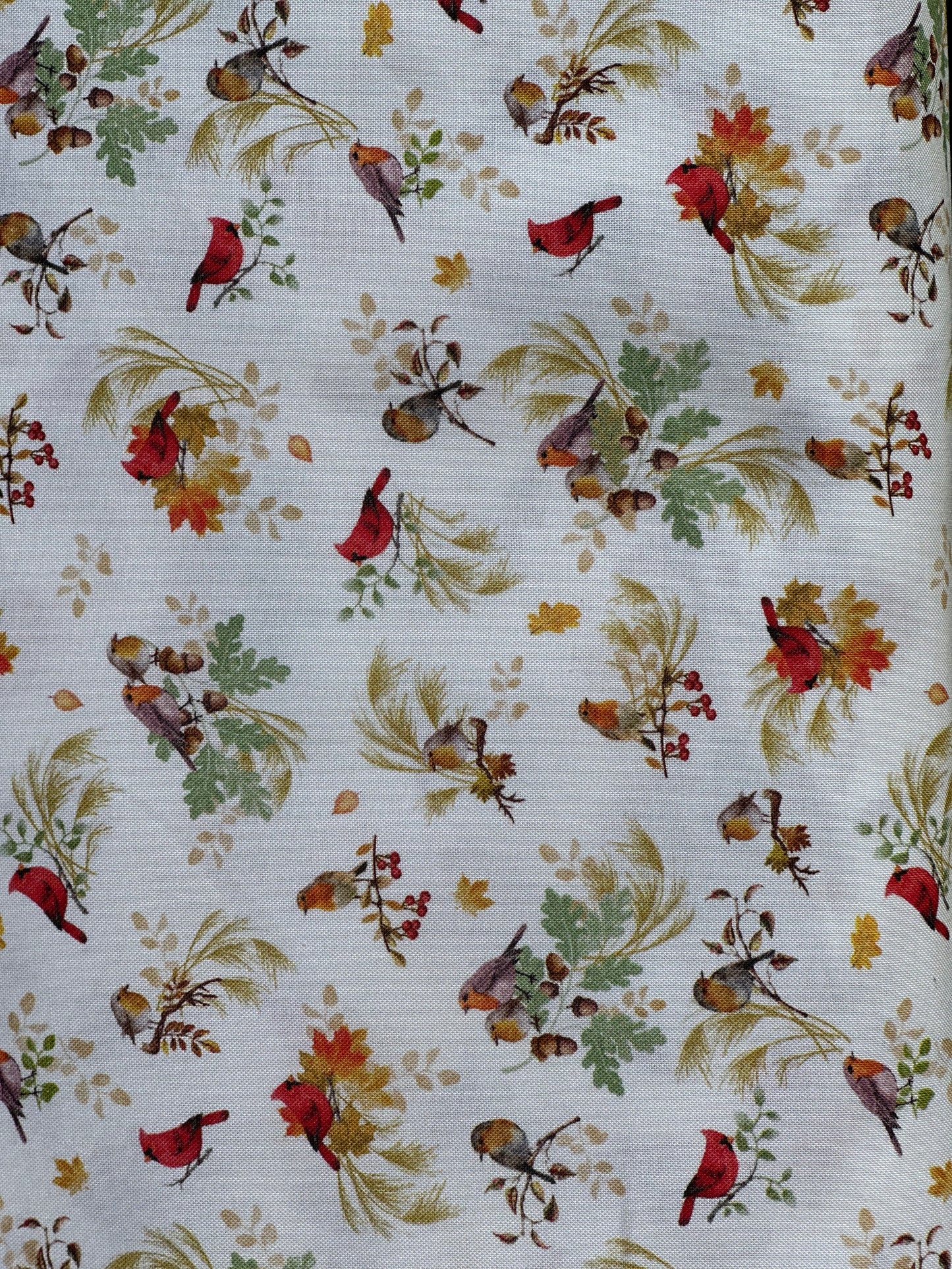 Harvest CD3519 Cream Cardinal on Branches