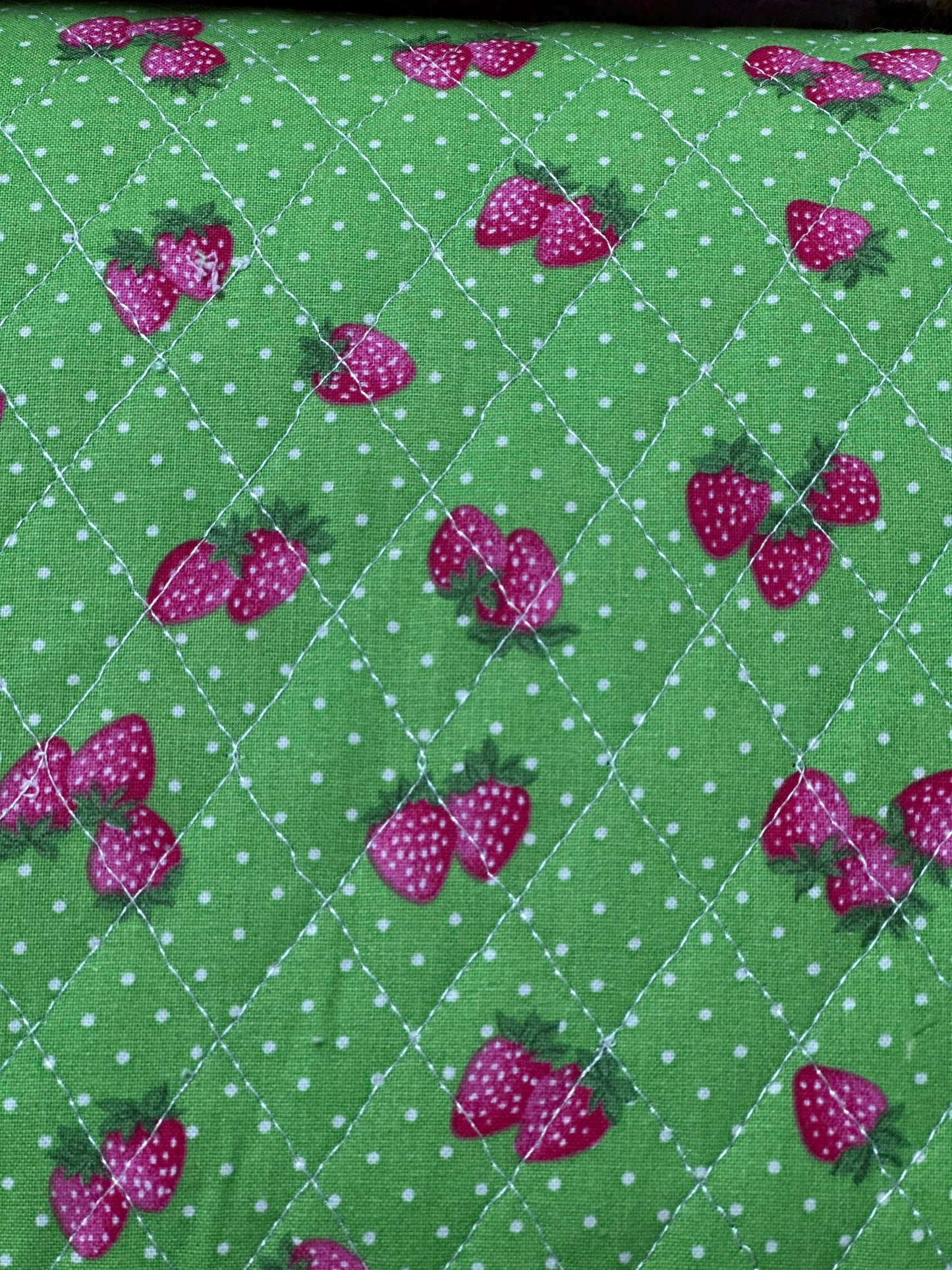 Strawberries and Plaid DFQ 13913 GAQ