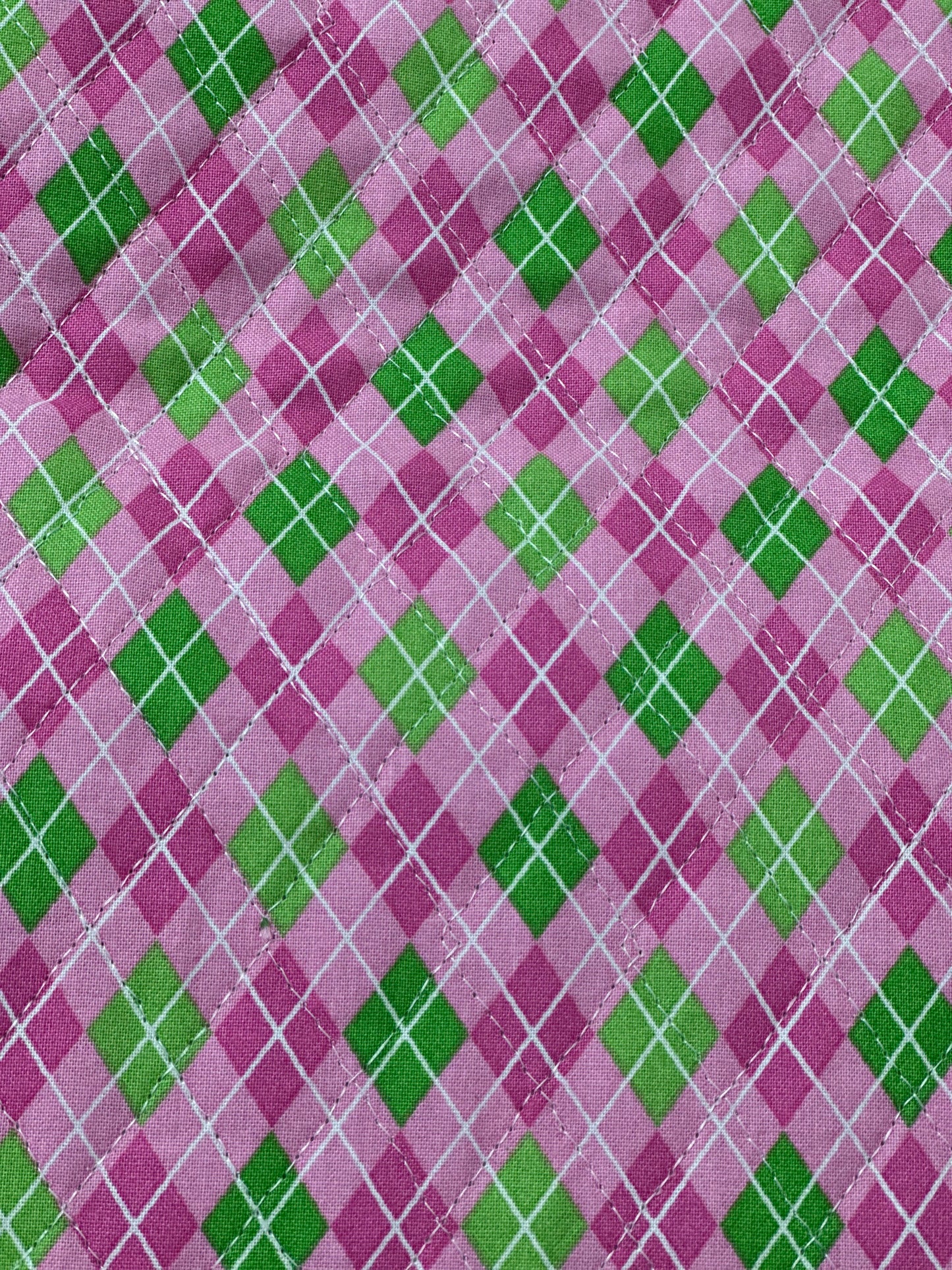 Strawberries and Plaid DFQ 13913 GAQ