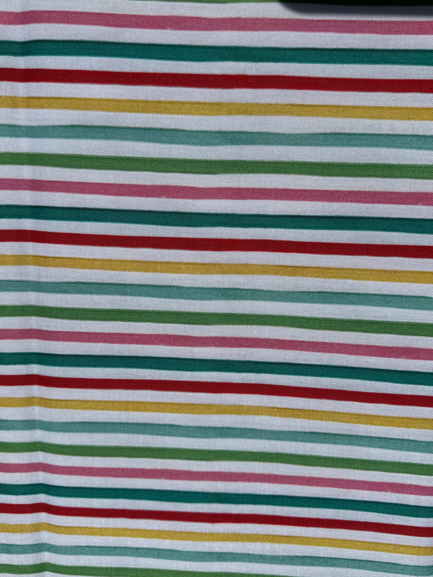 Christmas Village Festive Stripe by Whistler Studios 53909-8