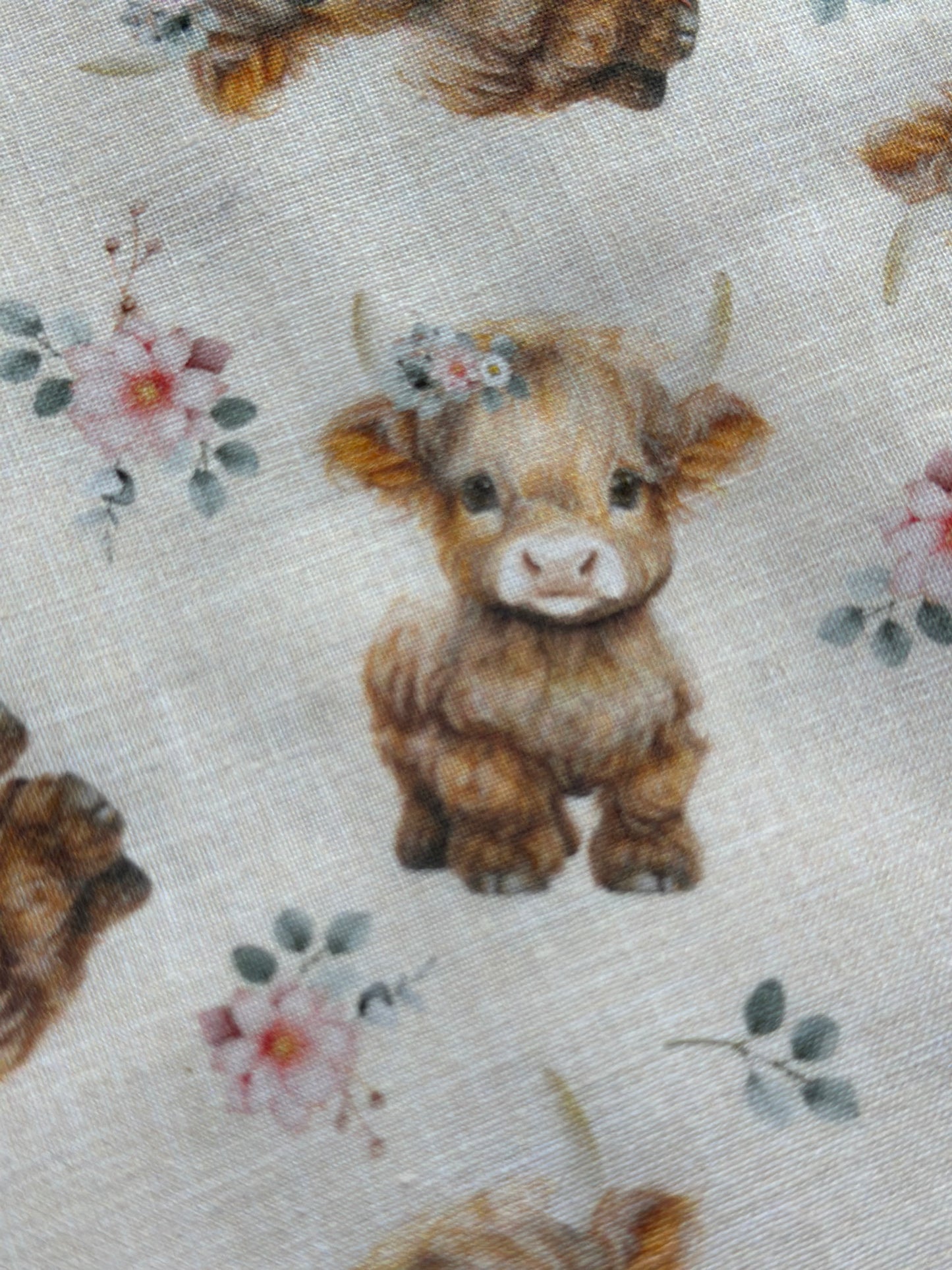 Till The Cows Come Home Highland Cow Cream CD4041