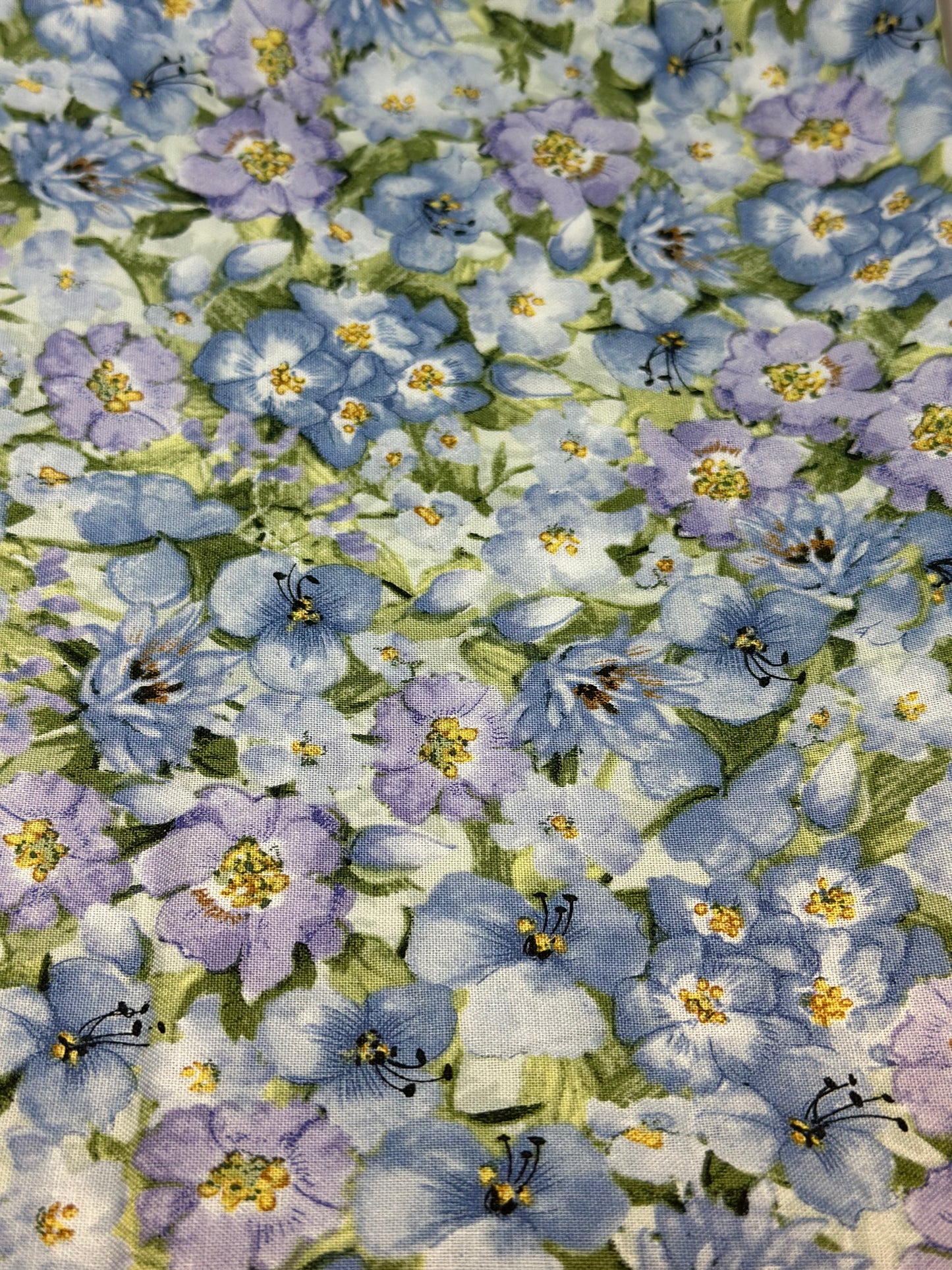 Sweet As Can Bee Packed Floral 78815 A62028