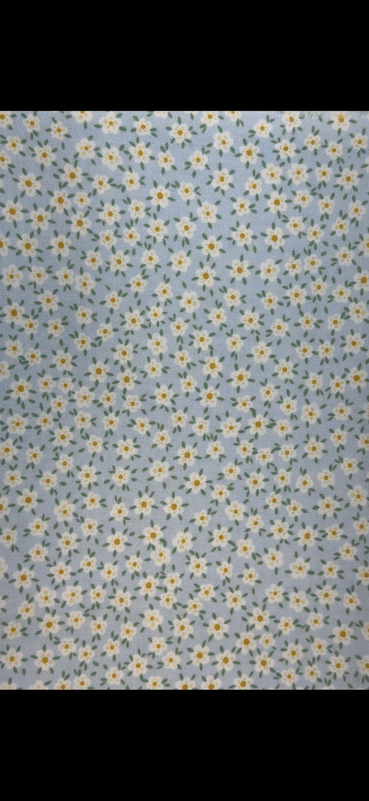 Sting Like A Bee D3277 Don't Kill My Buzz Sky