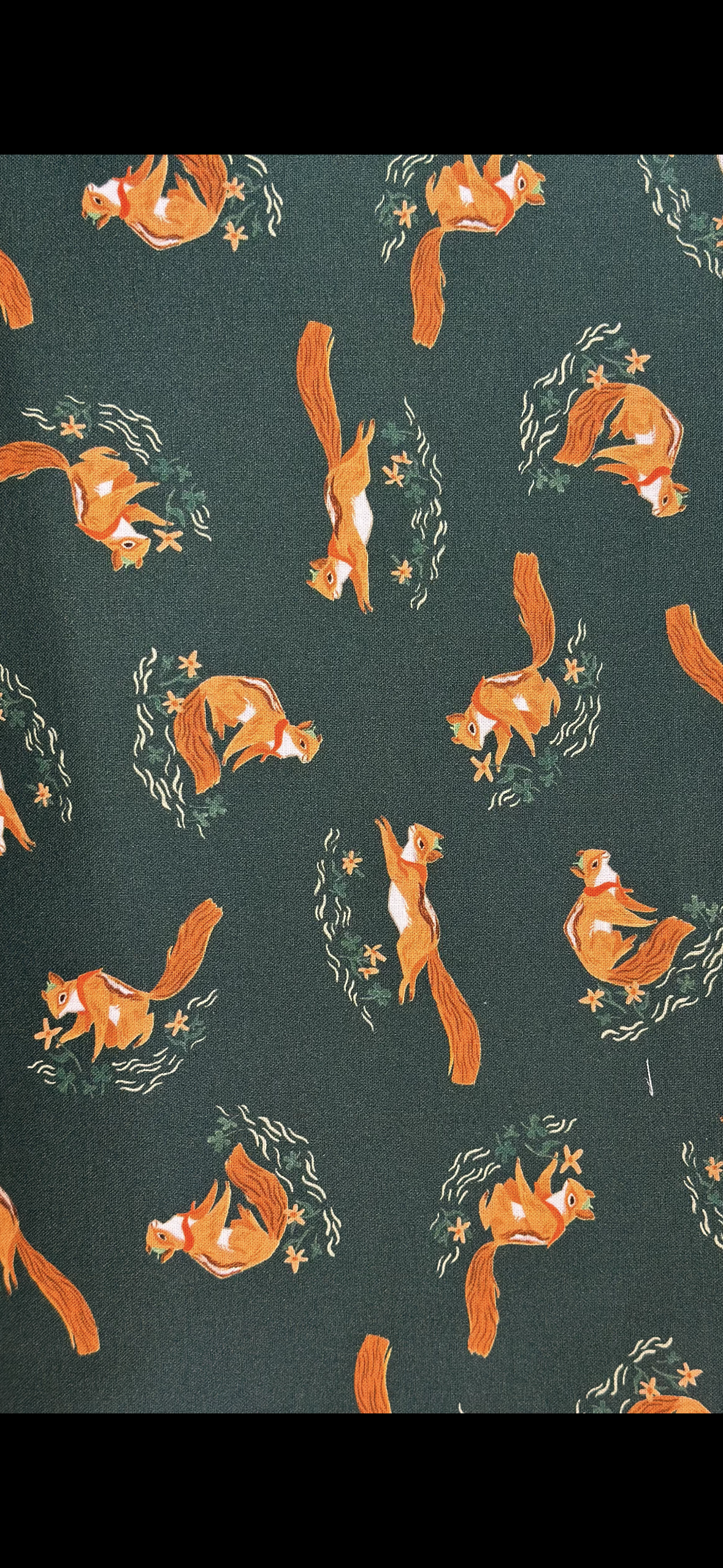 Camping Crew Fat Quarter Trio by Dear Stella