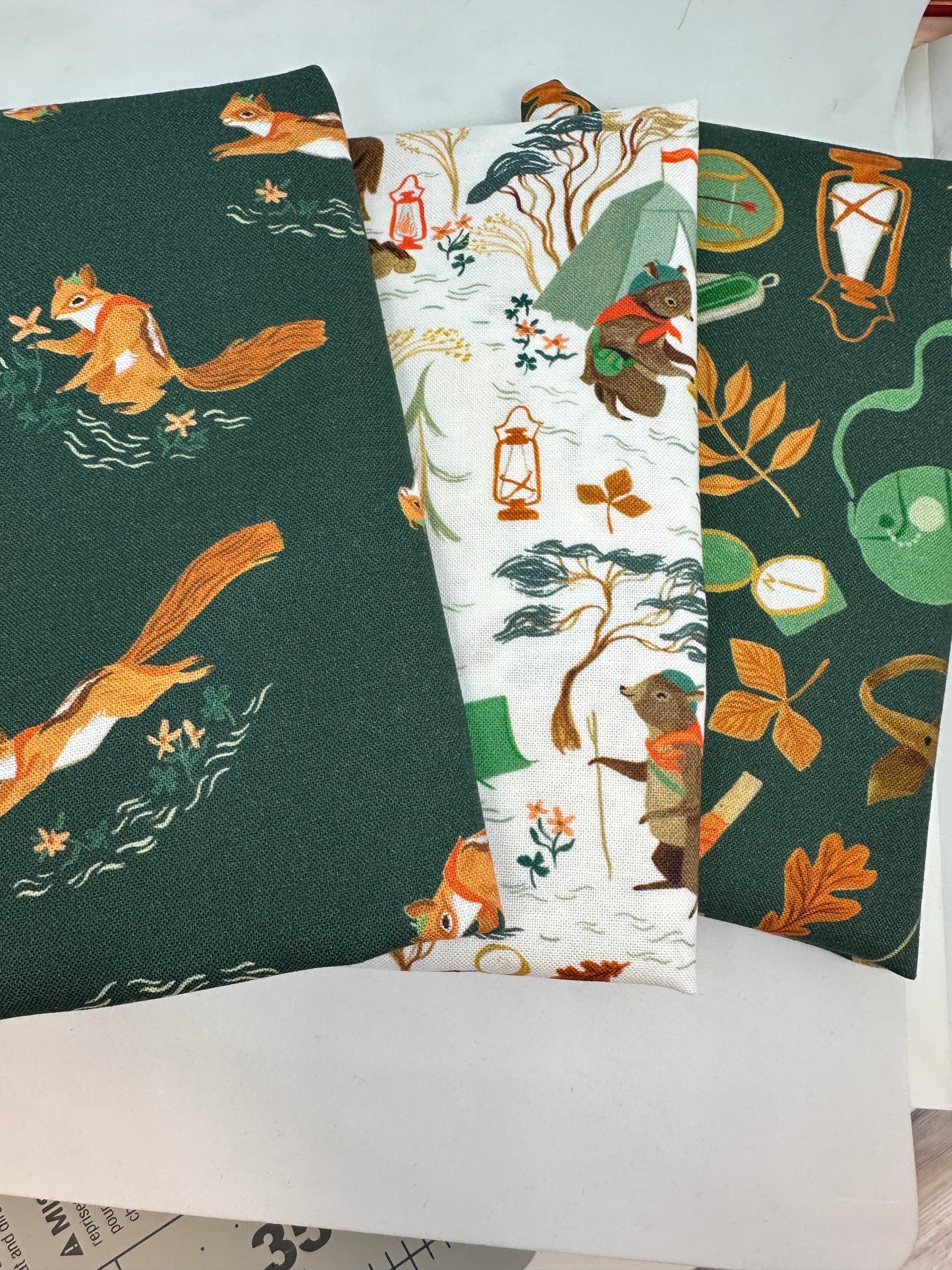 Camping Crew Fat Quarter Trio by Dear Stella